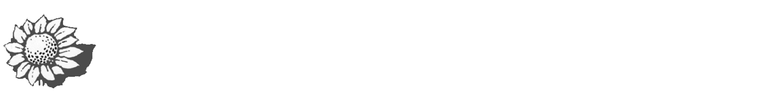 logo_himawari_jp_bk